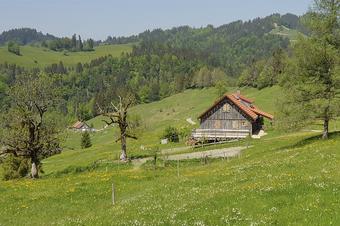 Ferienwohnungen am Schlossberg - Περιβάλλοντα