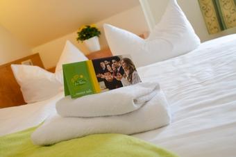 Hotel Gasthof Zur Mühle - Tuba