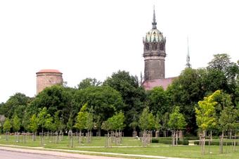 Pension Zur Elbe - Περιβάλλοντα