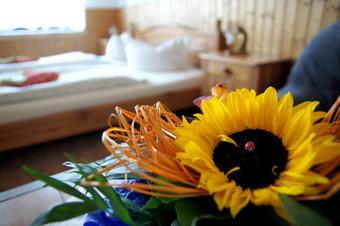 Pension Zur Elbe - Δωμάτιο