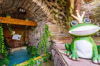 Hotel Burg Trendelburg - Uima-allas