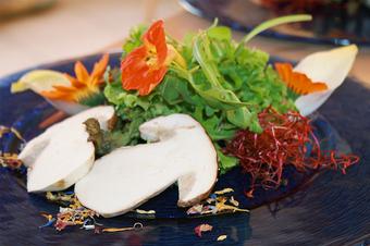 Landidyll Hotel Lindenhof - Εστιατόριο