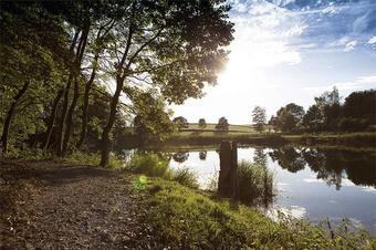 Wagners Landhaus - Umgebung