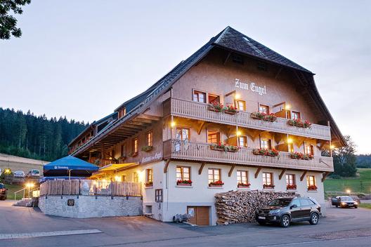 Hotel Gasthaus Zum Engel - Widok