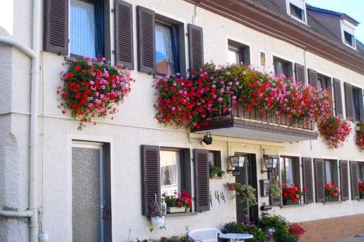 Pension Arnold - Εξωτερική άποψη