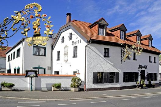 Hotel Jägerhof - Widok