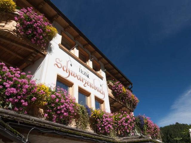 Hotel Schwarzenbach - Widok