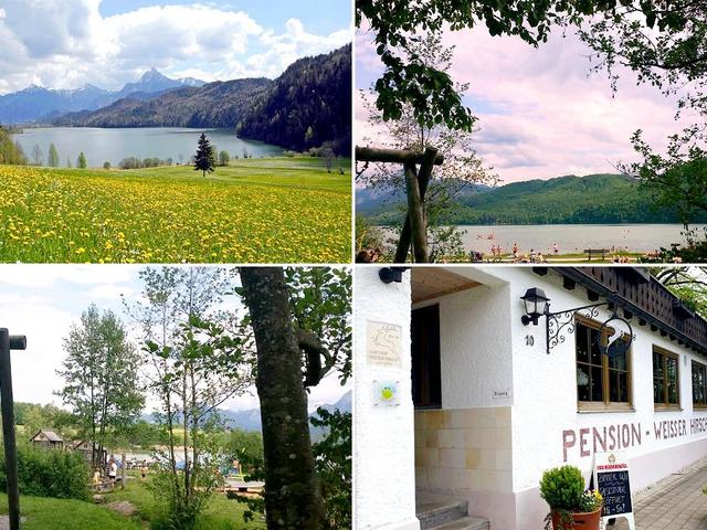 Pension Wei&szlig;er Hirsch - Umgebung