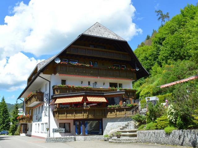 Hotel Silberfelsen - Vista al exterior