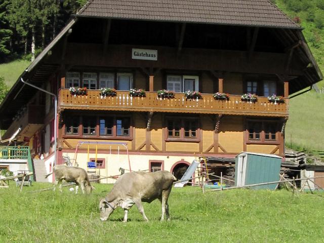 Bauernhof Wäldebauernhof - Vu d'extérieur