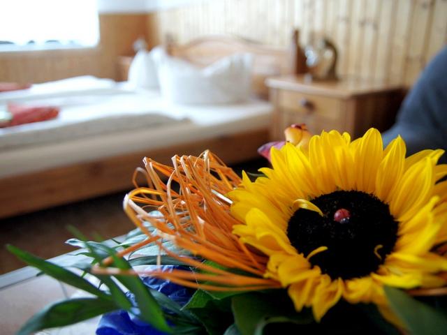 Pension Zur Elbe - Δωμάτιο