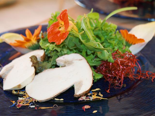 Landidyll Hotel Lindenhof - Εστιατόριο